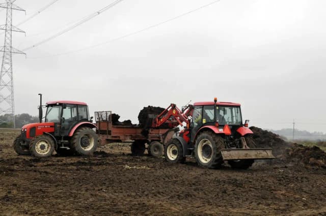 Ile kosztuje budowa płyty obornikowej? Sprawdź ceny i oszczędności Ile kosztuje budowa płyty obornikowej? Sprawdź ceny i oszczędności